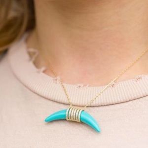 Boho 14 Karat Gold Plated Resin Horn with CZ